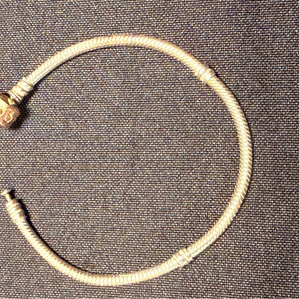 Pandora Bracelet